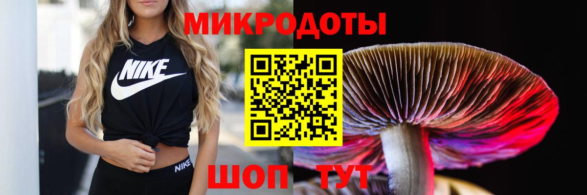 Тосно  Псилоцибиновые грибы Psilocybine cubensis  Вход с VPN 